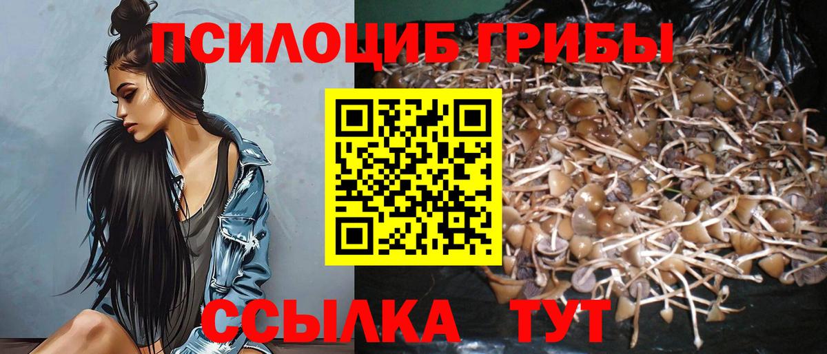 Рубцовск  Галлюциногенные грибы GOLDEN TEACHER  Вход с VPN 