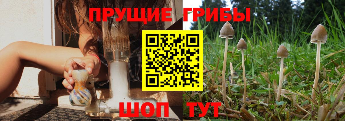 Галлюциногенные грибы Cubensis Рубцовск